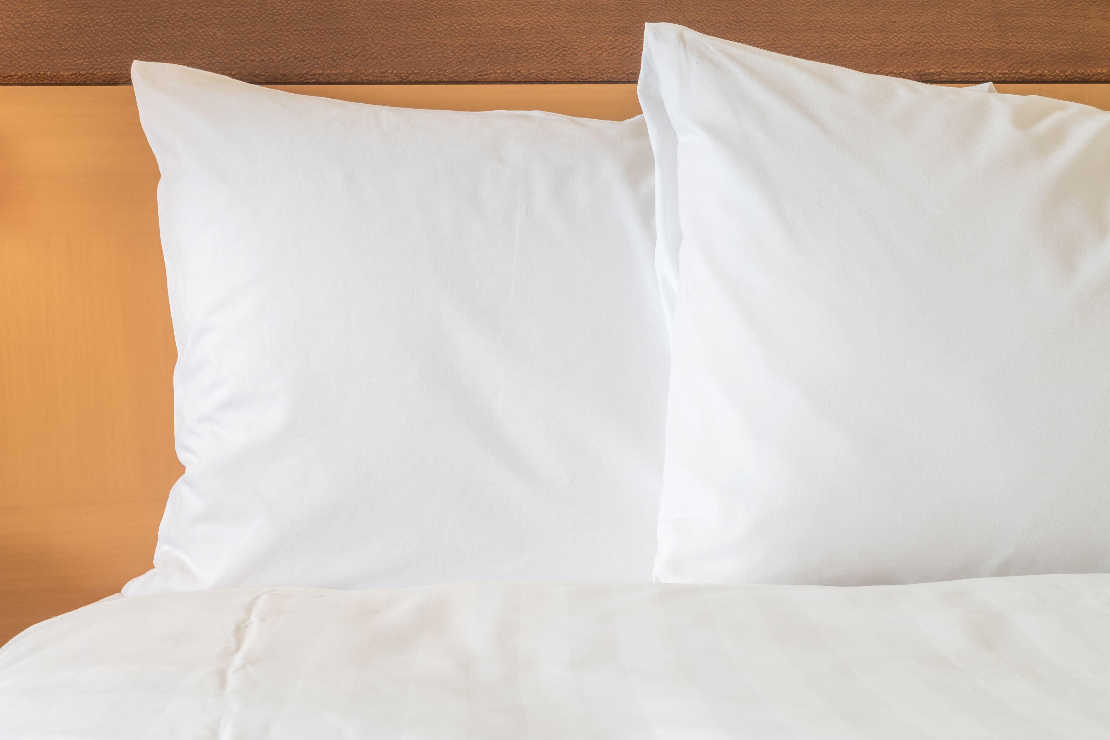 Holiday Inn Express - Charleston/Kanawha City By Ihg Eksteriør billede